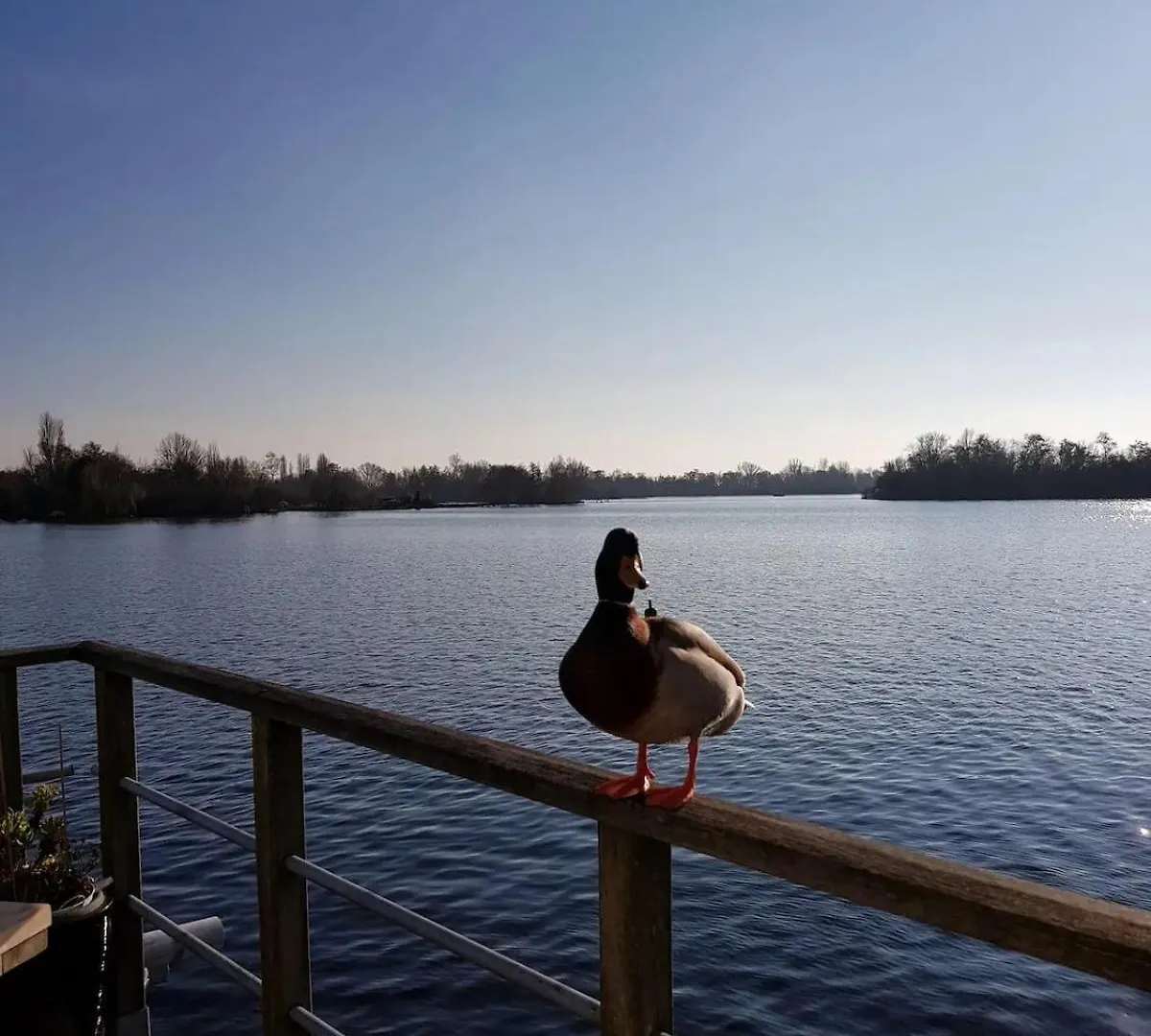 Luxury Ark With Sauna Near Amsterdam Aalsmeer Apartment
